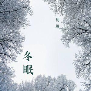 久久99精品久久久久久综合
