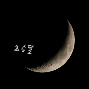 久久99精品久久久久久综合
